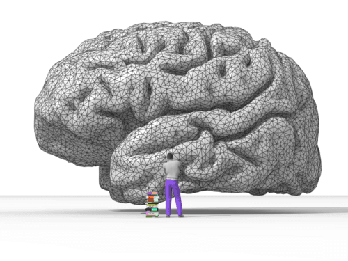 A rendering of the human brain by Nicolas P. Rougier